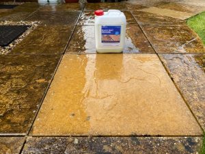 Black Spot Remover