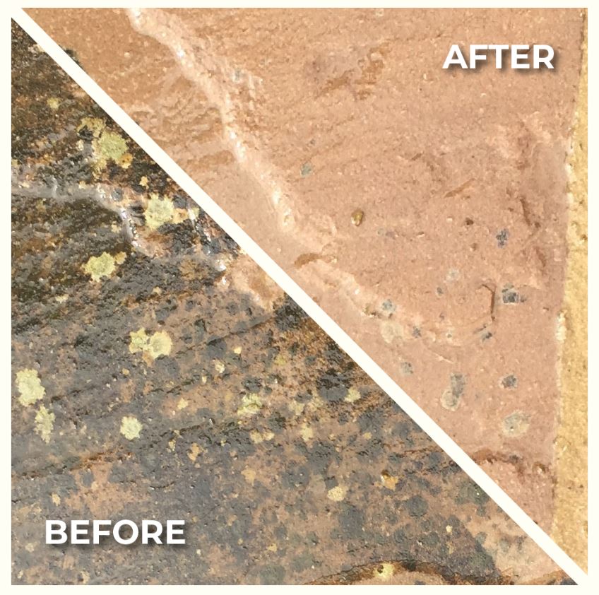 Black Spot Remover - Image 3